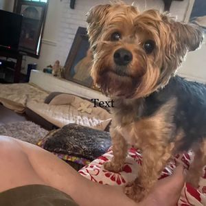 Meet your Posher, Barbara